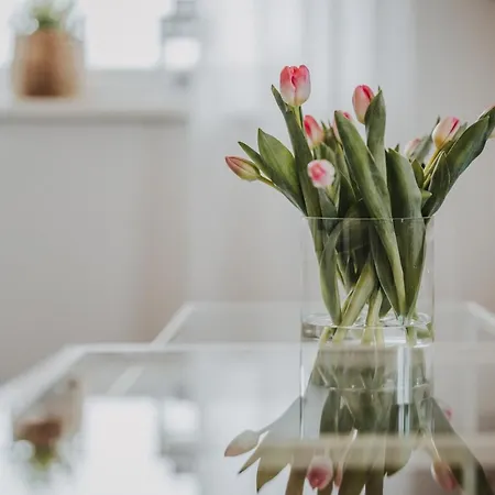 Weidenblick Apartment *