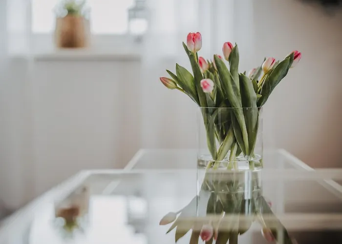 Weidenblick 아파트 *